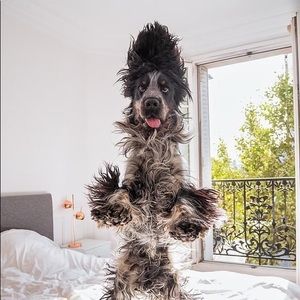 Meet your Posher, Sally